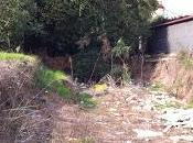 Pigneto, Roma chiamano "quartiere trendy"