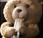Teddy Raspon