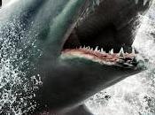 Shark 2012