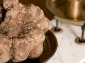 Mostra tartufo bianco Blogger Miniato