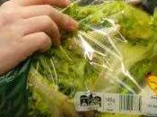 Insalata busta: quali rischi salute?