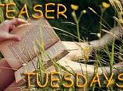 TEASER TUESDAYS... (EPISODIO "Vanish. traditrice" Sophie Jordan