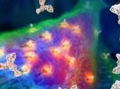 Sci-Fi, Programmazione Predittiva Religione Globale