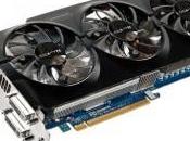 WindForce vendita dollari