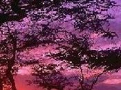 Attività somatica, attività cognitiva: emozioni. parte