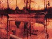 Hatchet (dvd)