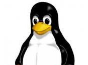 Linux nelle Scuole
