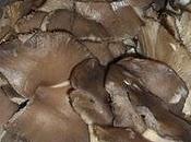 Funghi orecchiette patate