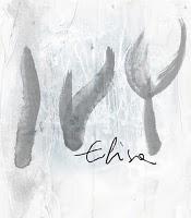 Elisa: nuovo album cover Messo