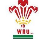 Test Match: Galles emergenza