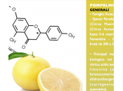pompelmo lime, cibi devono essere assunti farmaci