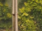 Mostra Milano: Piante serrate.