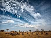 Master smart object doppie esposizioni