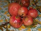 RICETTE Gianna: gelatina melagrana