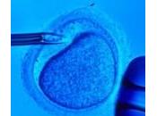 Procreazione assistita, ricorso governo contro europeo alla diagnosi preimpianto