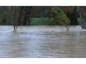 Todi, salta sistema fognario allaga tutto, forte preoccupazione abitanti Pian Martino