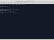 Come scoprire versione Linux Ubuntu kernel installati vostro