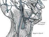Cose potete fare oggi aiutare vostra salute