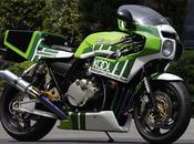 Kawasaki 1200 Performance Replica