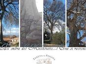 All’ombra Millicucco…l’Etna racconta. conservazione “attiva” Parco dell’Etna