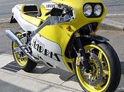 Harris Ducati