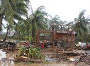 Filippine: perso quarto delle banane causa tifone bopha