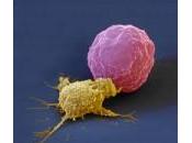 cellule combattere vari tumori cancro alla prostata