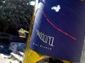 Puddara 2009 Tenuta Fessina vini “rocciosi” Scatti gusto