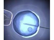 Procreazione assistita, Italia donna quattro “emigra” Nord