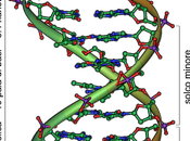 Nucleotidi nucleosidi