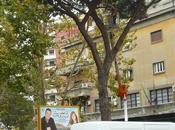 Vengono curare alberi fissano cartelli divieto sosta conficcandoli chiodo tronchi. Tutto normale Piazza Ragusa?