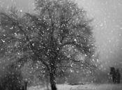 Solitudine natalizia