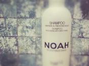 Beauty shampoo finocchio