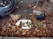 pulizia delle strade roma: discarica rifiuti lamiere! tracce passaggio animale