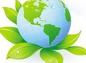 Business: Dieci regole ufficio ecologico!