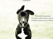 RECENSIONE: rifugio cuori solitari Lucy Dillon