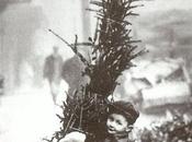 Creative Christams trees