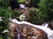 Bird Hunter Free, mirare...fuoco!