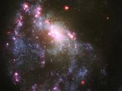 922: alla ricerca della migliore ricetta formazione buchi neri stellari