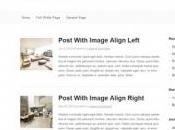 Migliori Free Minimal Responsive WordPress Themes