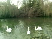 piccole cose cambiano vita