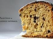 Panettone lievitazione naturale lievito secco (proporzioni norma legge)