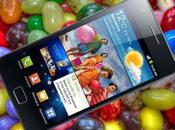 Samsung Galaxy tutti dettagli sull’update Android 4.1.2 Jelly Bean