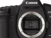 Canon manda pensione Mark