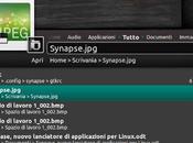 Synapse, nuovo lanciatore semantico applicazioni Linux scritto Vala, molto simile Gnome-Do.