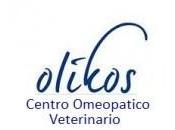 Visite Omeopatiche Milano prossimo appuntamento: Lunedì Febbraio 2013