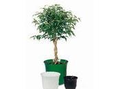 fioriere plastica rotazionale