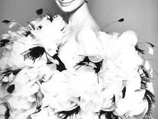 Vent’anni senza Audrey Hepburn