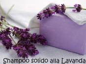 Shampoo solido alla Lavanda capelli grassi