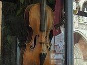 Annamaria Menta, liutaio, invita colleghi parlare. partiti: “Hanno fatto abbastanza danni”